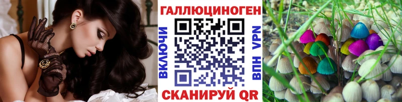 Псилоцибиновые грибы Psilocybine cubensis  Котлас 