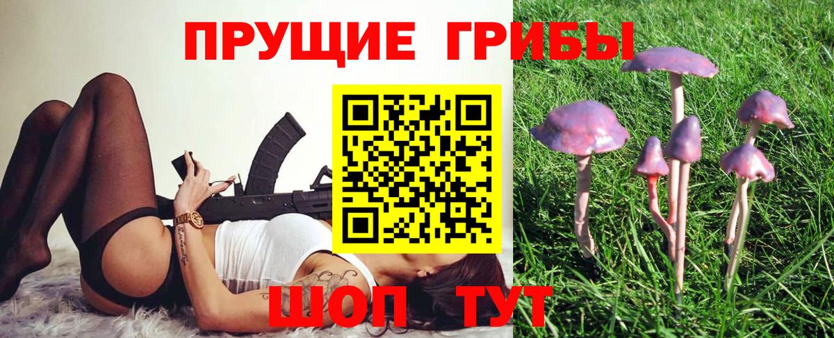 Псилоцибиновые грибы мицелий  Галлюциногенные грибы мухоморы  Котлас  Вход с VPN 
